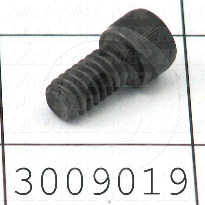 Machine Screws, Socket Head, Steel, Thread Size 1/4"-20, Screw Length 1/2 in., Full Thread Length, Right Hand, Black Oxide