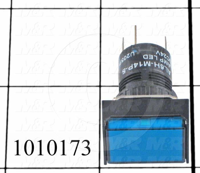 Pushbutton Switch, Momentary, Rectangle, Blue, DPDT, Incandescent, 24V