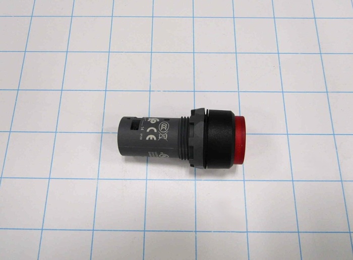 Pushbutton Switch, Momentary, Round, Extended Button Head, Red, 1NO, Illuminated, 24VDC